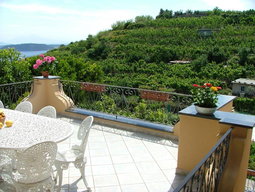 Barano dʼIschia Villa Rosalia المظهر الخارجي الصورة